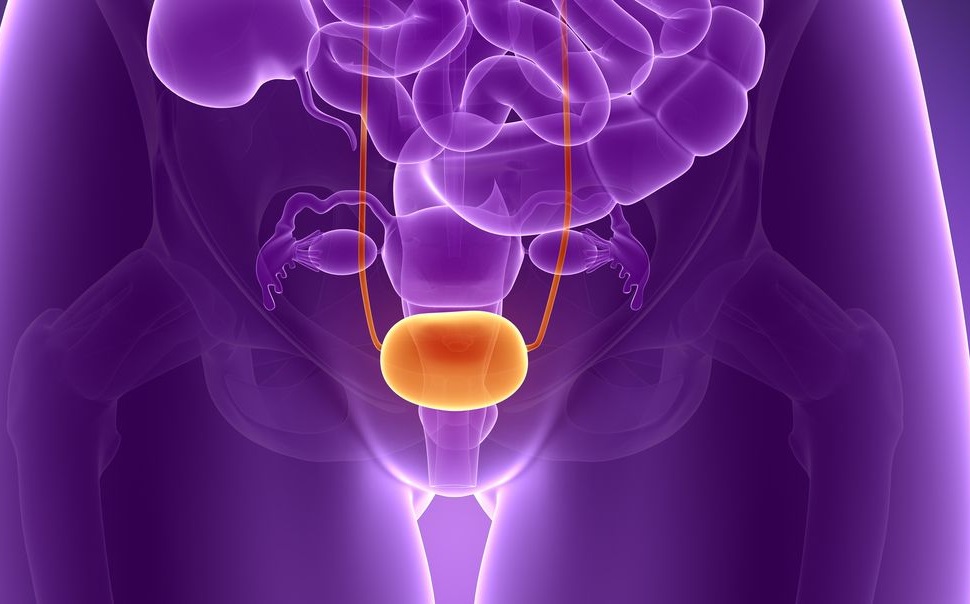 Infectii urinare la femei (bacteriurie asimptomatica, cistita acuta, pielonefritele, infectii urinare recurente)